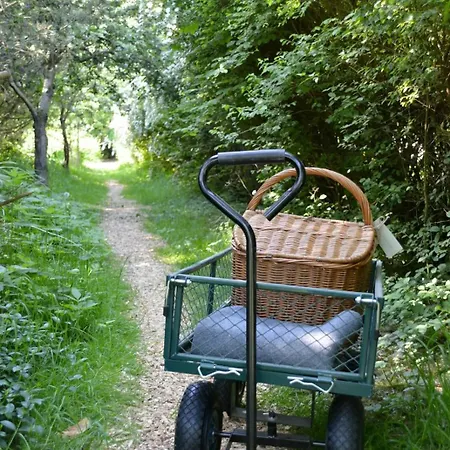 Charmerende Skurvogn * Tranekær